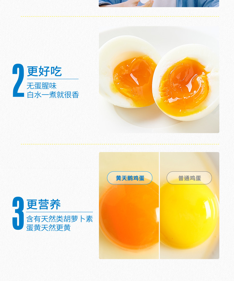 黄天鹅 黄天鹅 可生食鸡蛋 20枚/盒