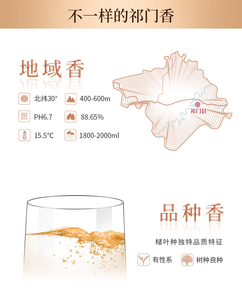  谢裕大 红誉3000特级红香螺祁门红茶240g/盒