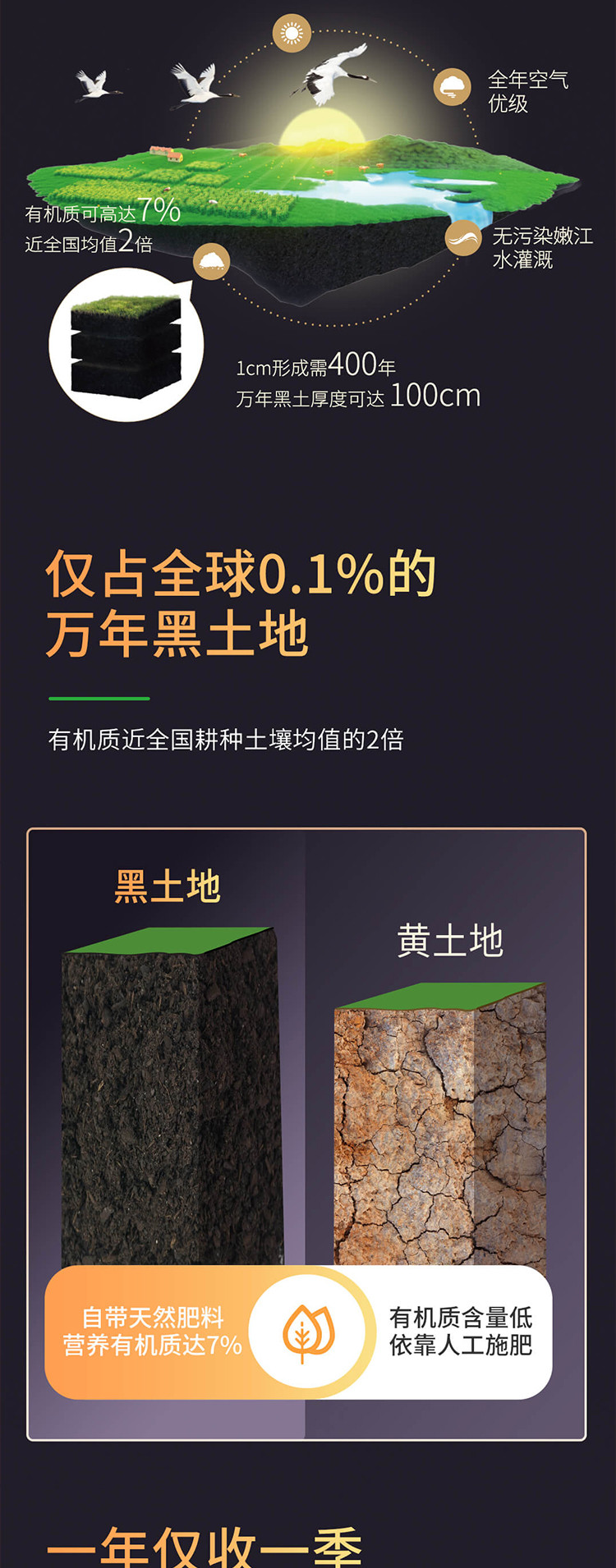  北纬47° 黑珍珠甜糯鲜玉米200g*10/盒 全球优质 3小时锁鲜技术