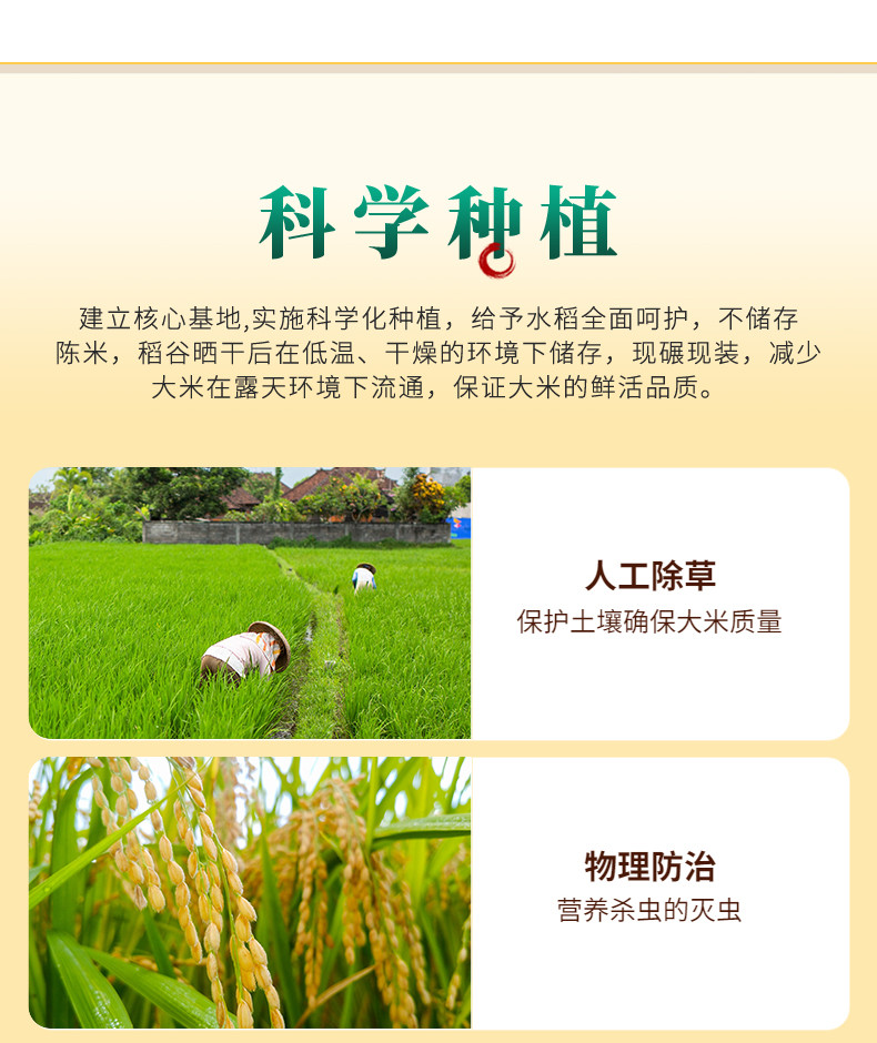  邻家饭香 东北大米 长粒香米 2.5kg/袋  黑土地种植 一年一季