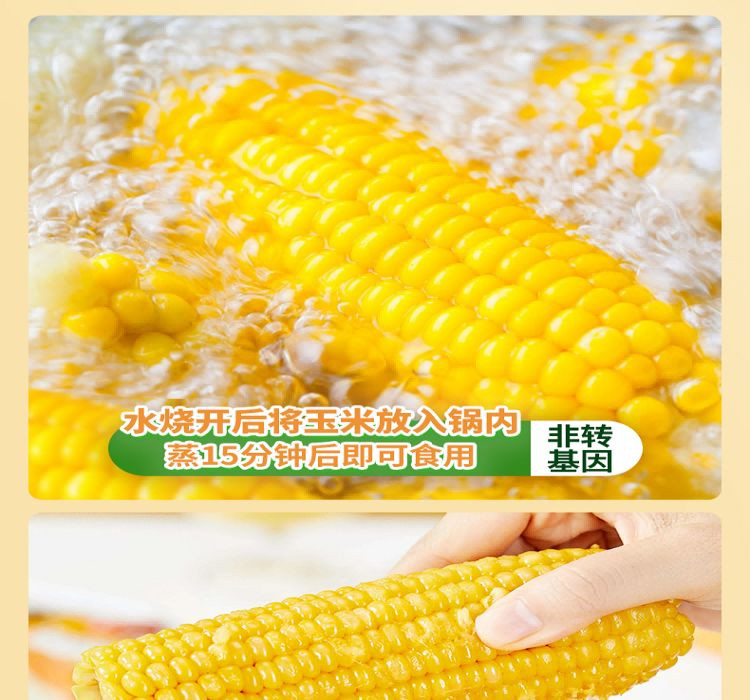  邻家饭香 东北鲜食黄糯玉米 (200g/穗） 2穗/袋装 400g