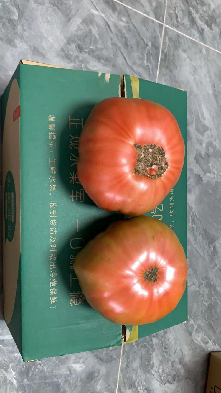  赢荔 云南通海 狮子头西红柿2.5公斤礼盒6颗装  单果400g左右