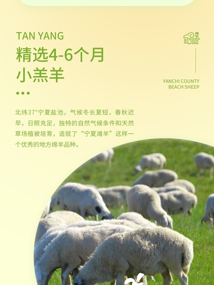  丁小宴 盐池滩羊498型2000g礼盒装宁夏瑰宝  天然草饲更值得信赖