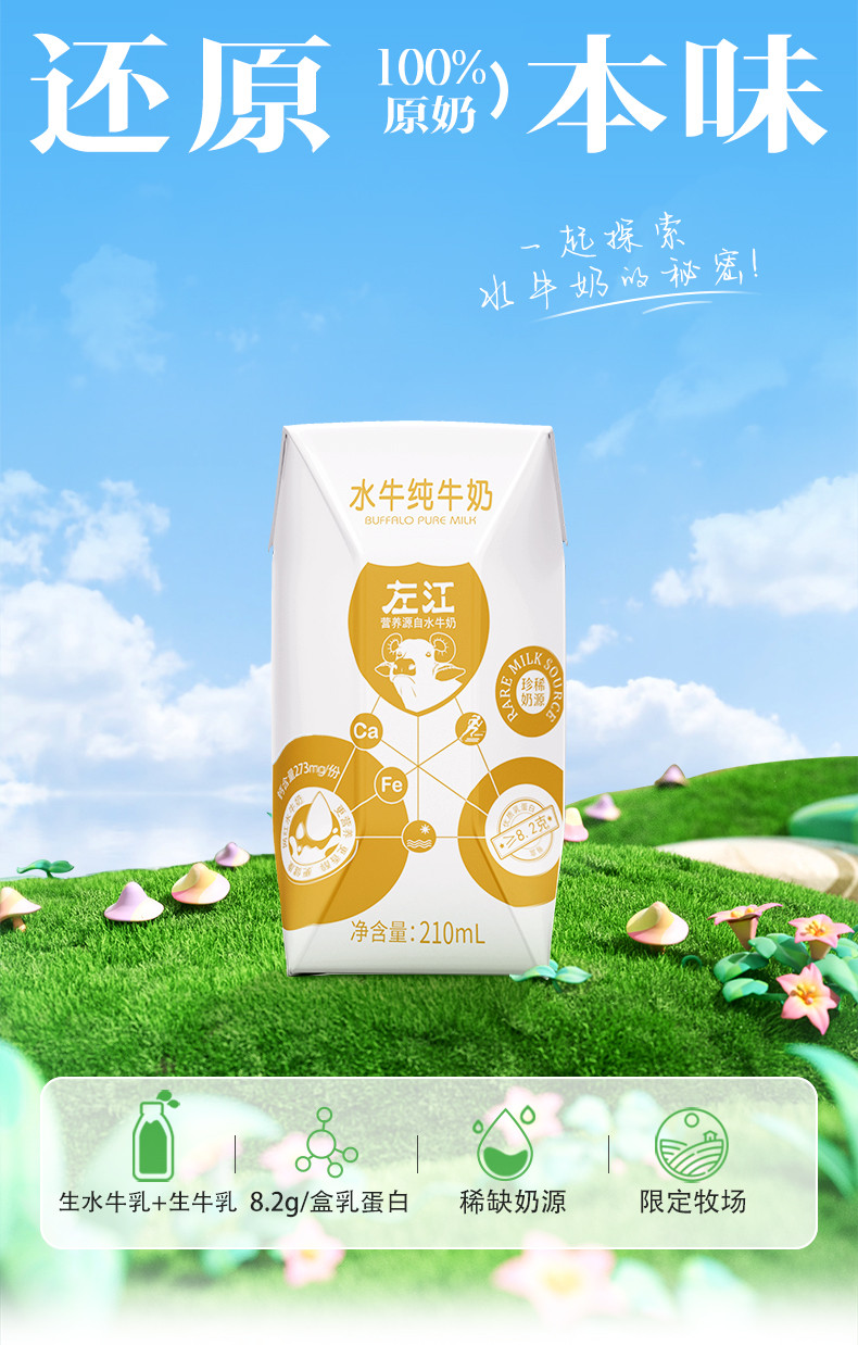  左江 水牛纯牛奶 210ml*10盒/箱 真正做到配料表干净 无添加