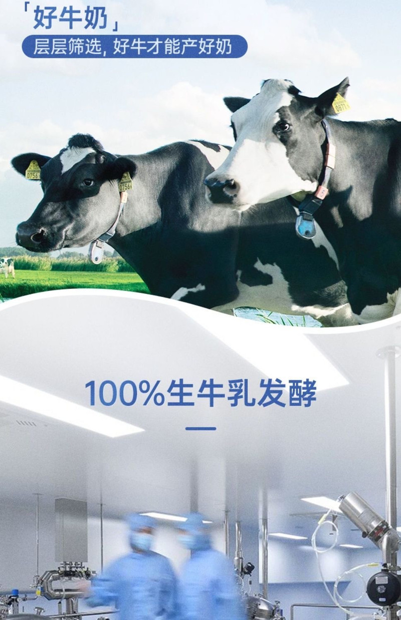  光明牌 莫斯利安原味酸奶200g*12盒  100%生牛乳发酵