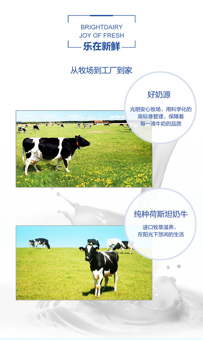  光明牌 优加纯牛奶礼盒250ml*12 高品质纯奶 专属优质牧场