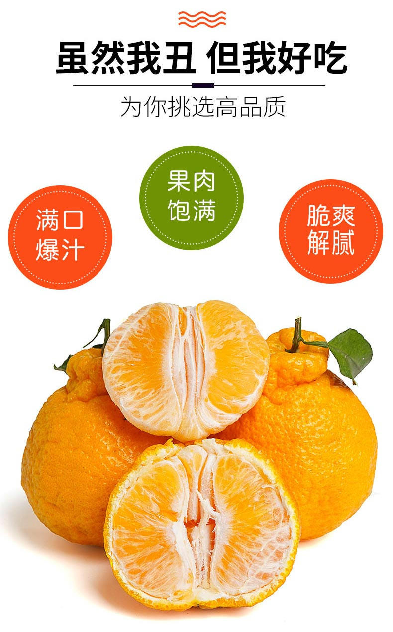  食欲跳动 四川不知火丑橘 8斤大果 彩箱装（约14-18枚）鲜嫩多汁