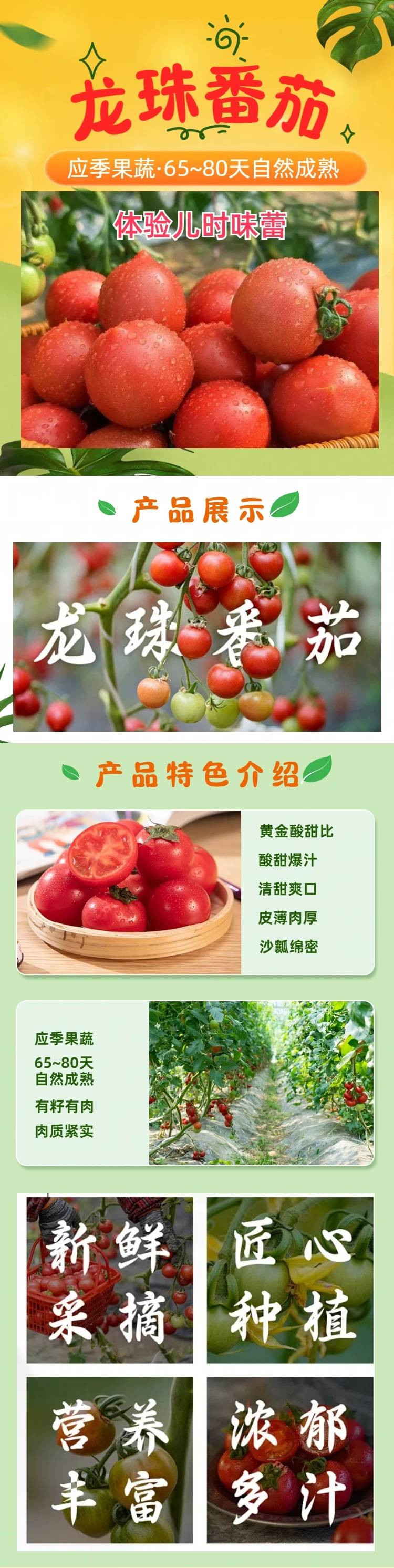 食欲跳动 龙珠番茄 3斤装 上海本地无棚种植 现摘现发 只发江浙沪