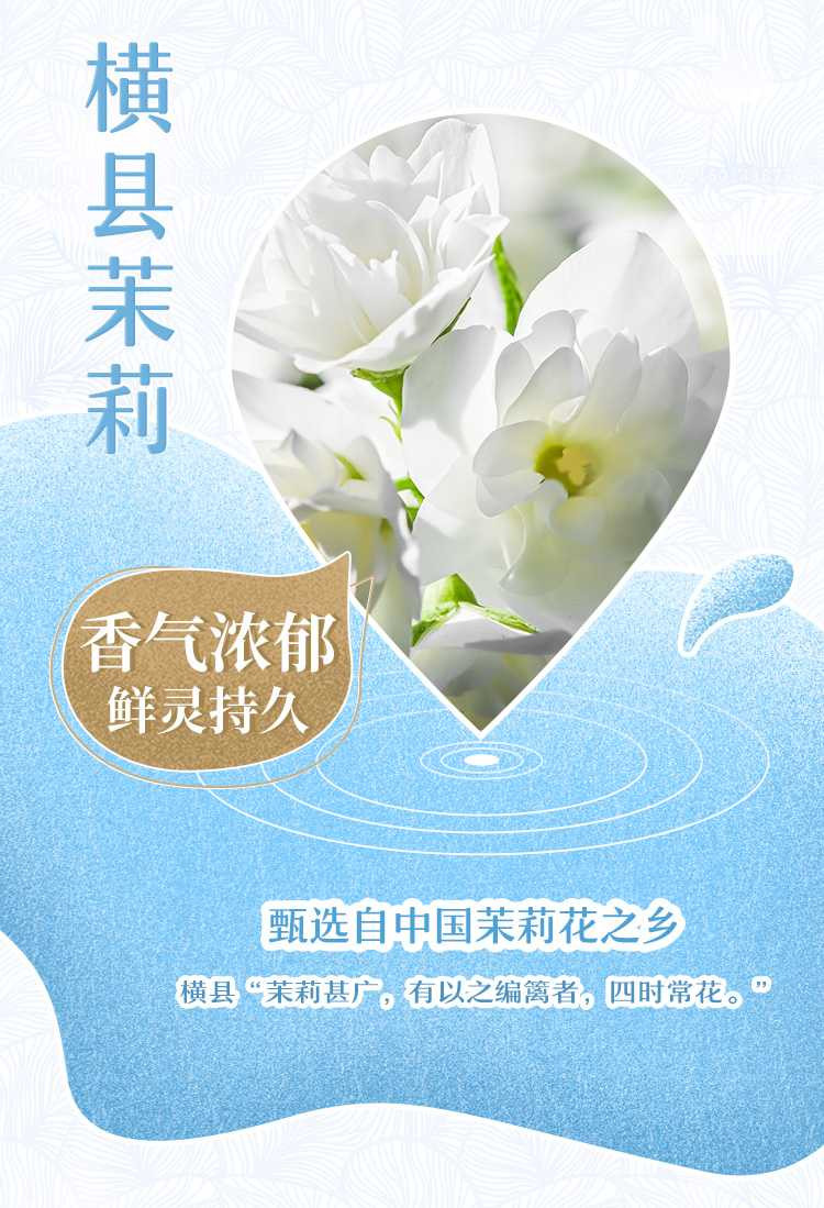 麟珑茶室 茉莉轻茶 500ml*15瓶/箱 真无糖原叶茶0糖0脂0能量