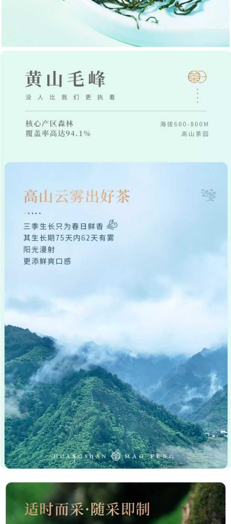 谢裕大 黄山毛峰匠心800绿茶 100g/袋  中华老字号 非遗传承