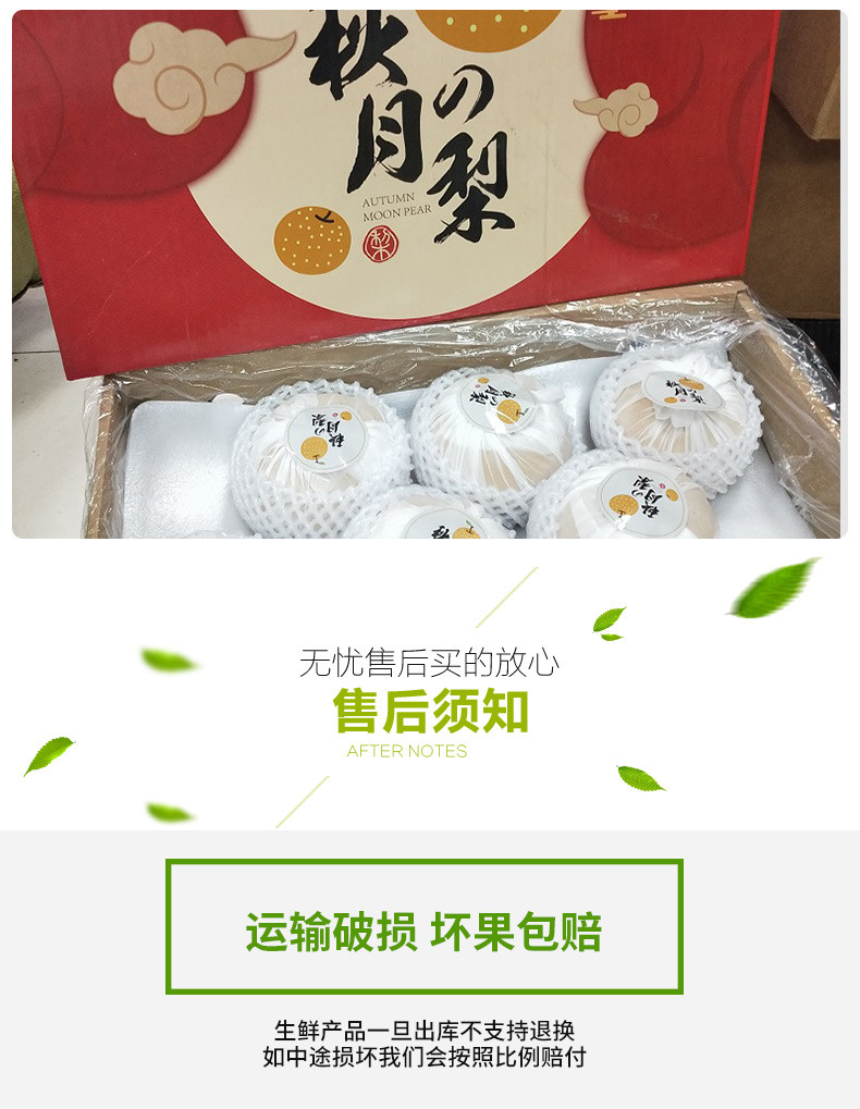 食欲跳动 山东秋月梨4.5斤 礼盒装 5-6枚 单果300g+ 现摘现发