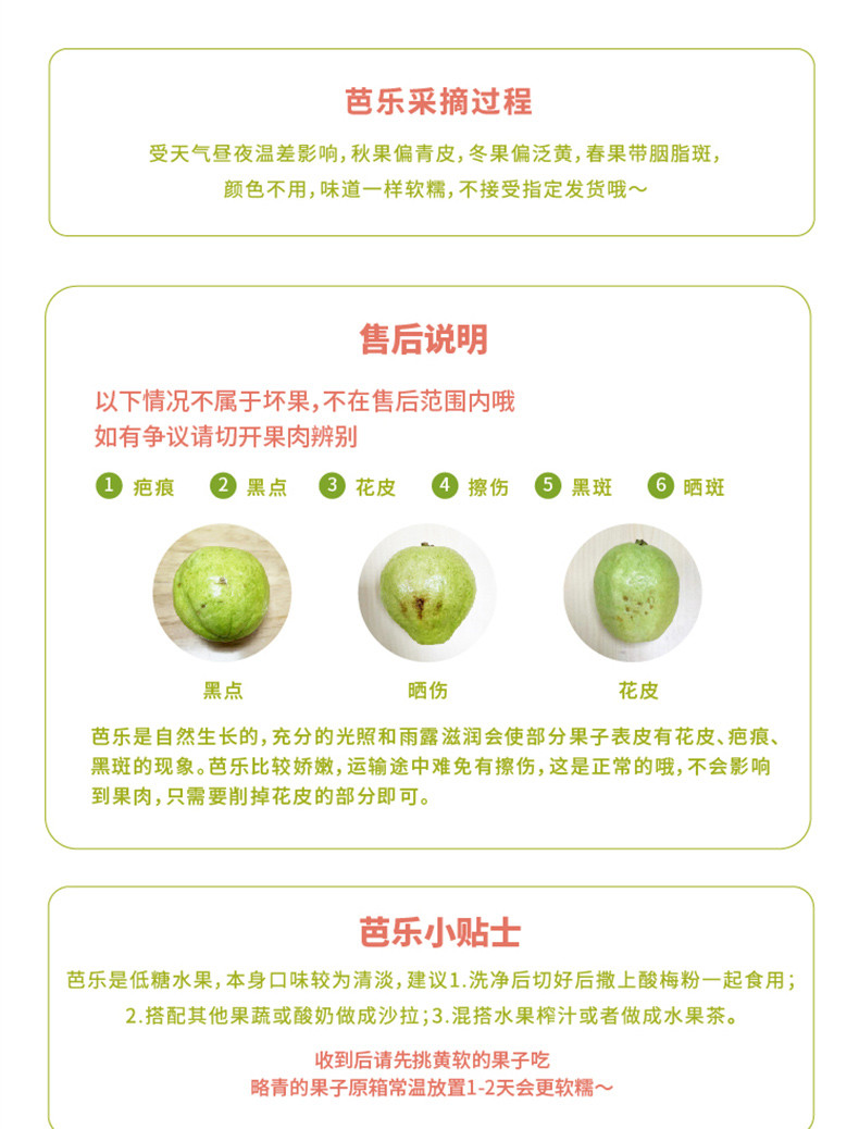 食欲跳动 福建红白双拼芭乐 4.5-5斤 彩箱 10-12个 顺丰包邮