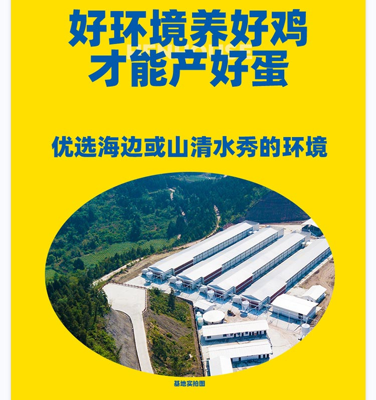 黄天鹅 可生食鸡蛋30枚L级 礼盒装 新鲜好蛋宝宝放心吃 源头直发