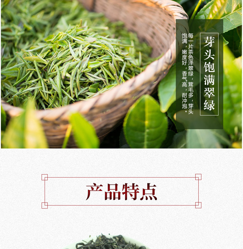 百山源 赣南高山绿茶100g/罐