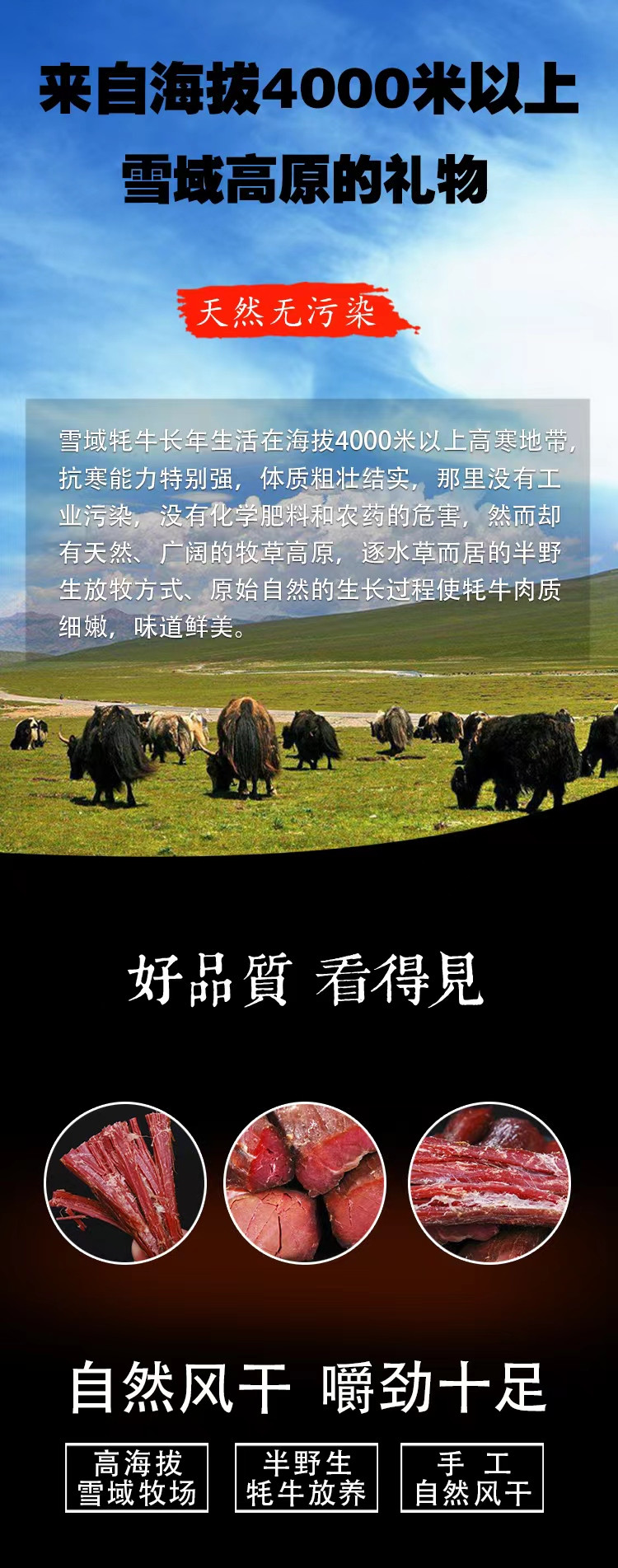 邮政农品 西藏风干牦牛肉（五香）