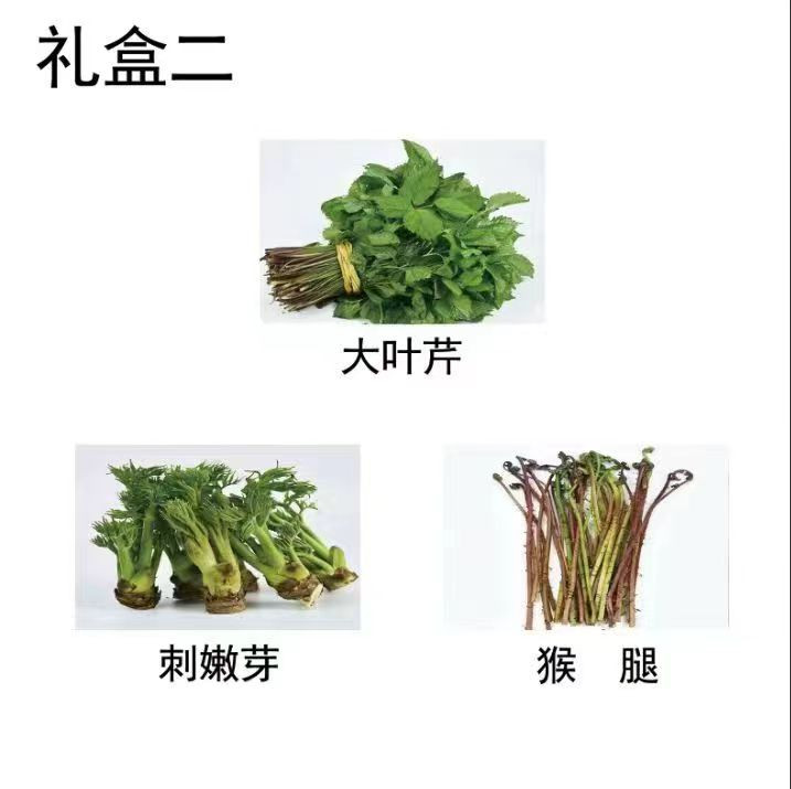吉味天利海 山野菜尝鲜礼盒二（3斤菜/省内包邮)W