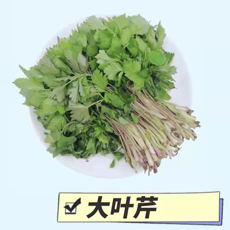 农家自产自销 蛟河山野菜组合3 (净4斤菜/省内包邮）W