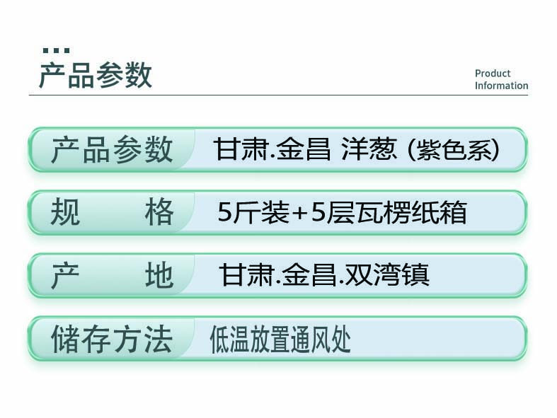 沙海舟TM 甘肃 金昌 黄土高坡上的紫洋葱 光照充足 花青素满满