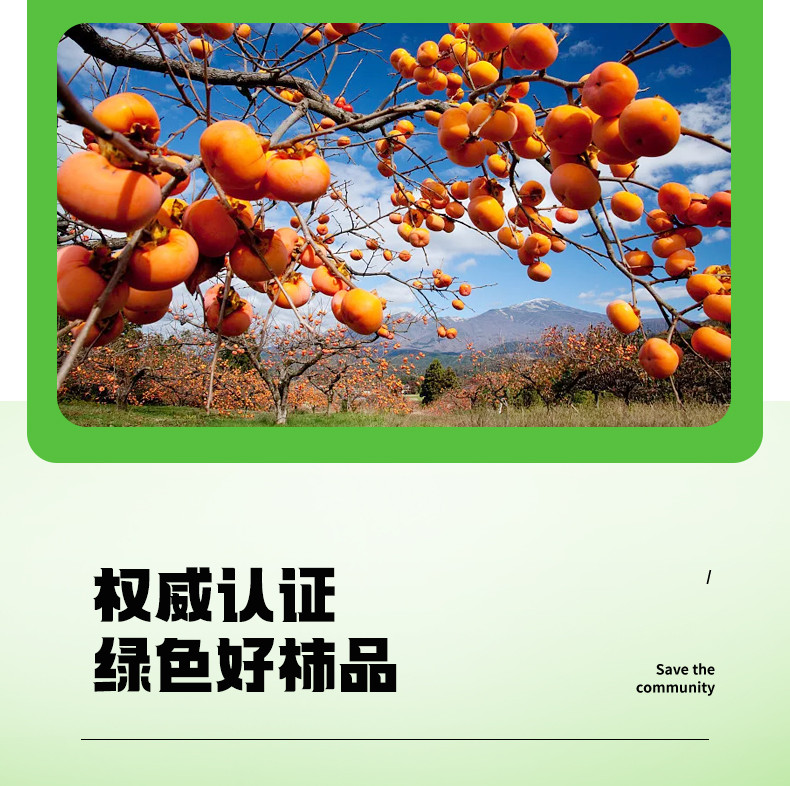 美柿山丘 美柿山丘 柿子含片口气清新润喉糖果 恭城月柿柿子压片糖果