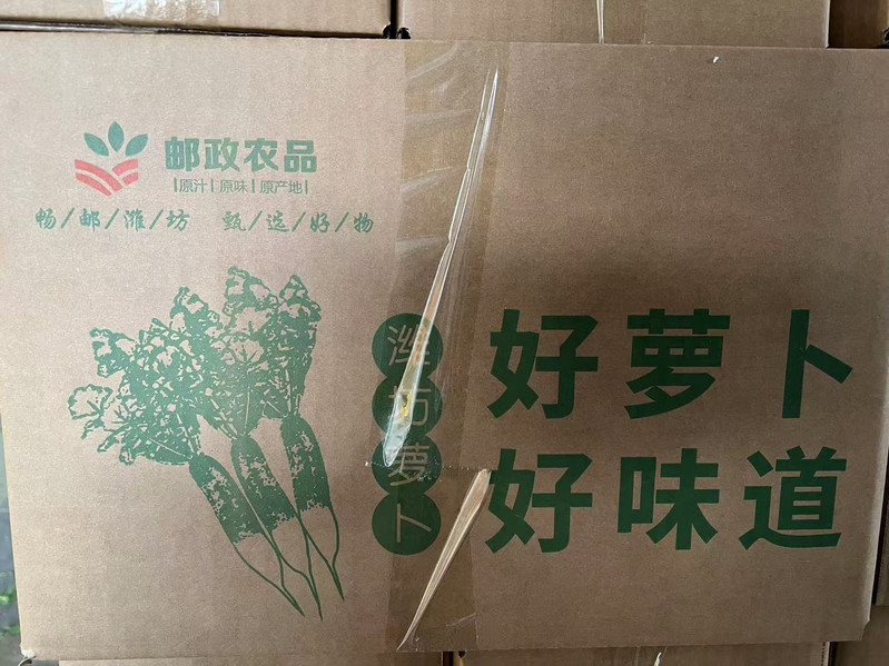 邮政农品 【山东邮政年货节 】【寒亭零售】潍县萝卜