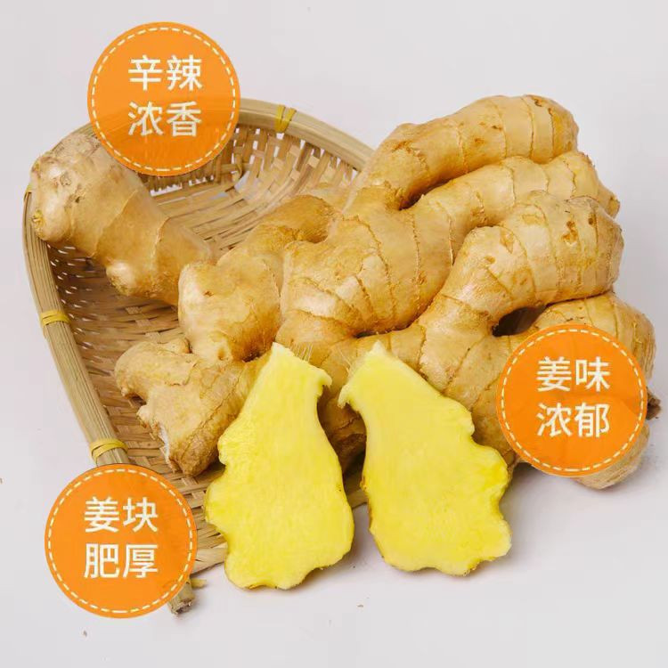 农家自产 【潍坊昌邑零售】精品大姜10KG