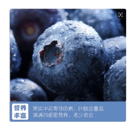 农家自产 【高密】蓝莓礼盒1斤装125g*4盒 超大果19MM-20M