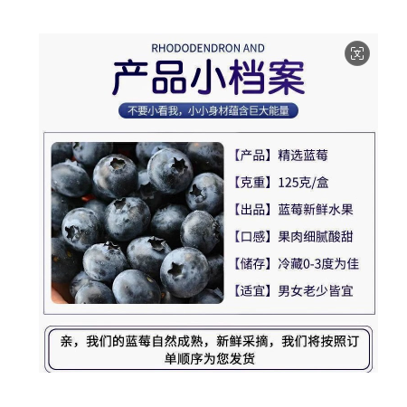 农家自产 【高密】蓝莓礼盒1斤装125g*4盒大果16MM-18MM