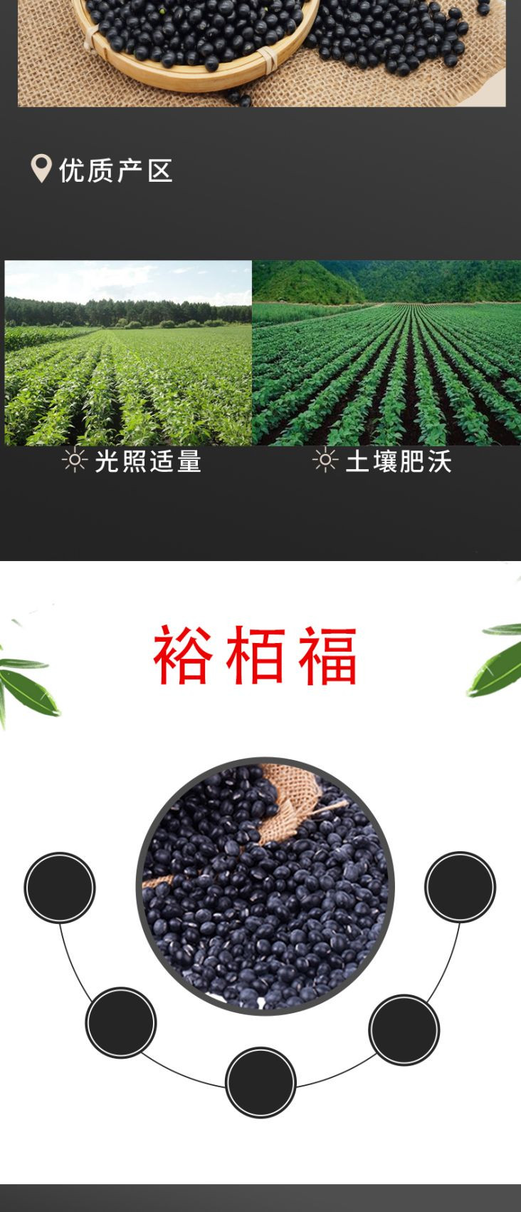 裕栢福 裕栢福黑豆10kg五谷杂粮粗粮绿心黑豆浆绿芯黑豆