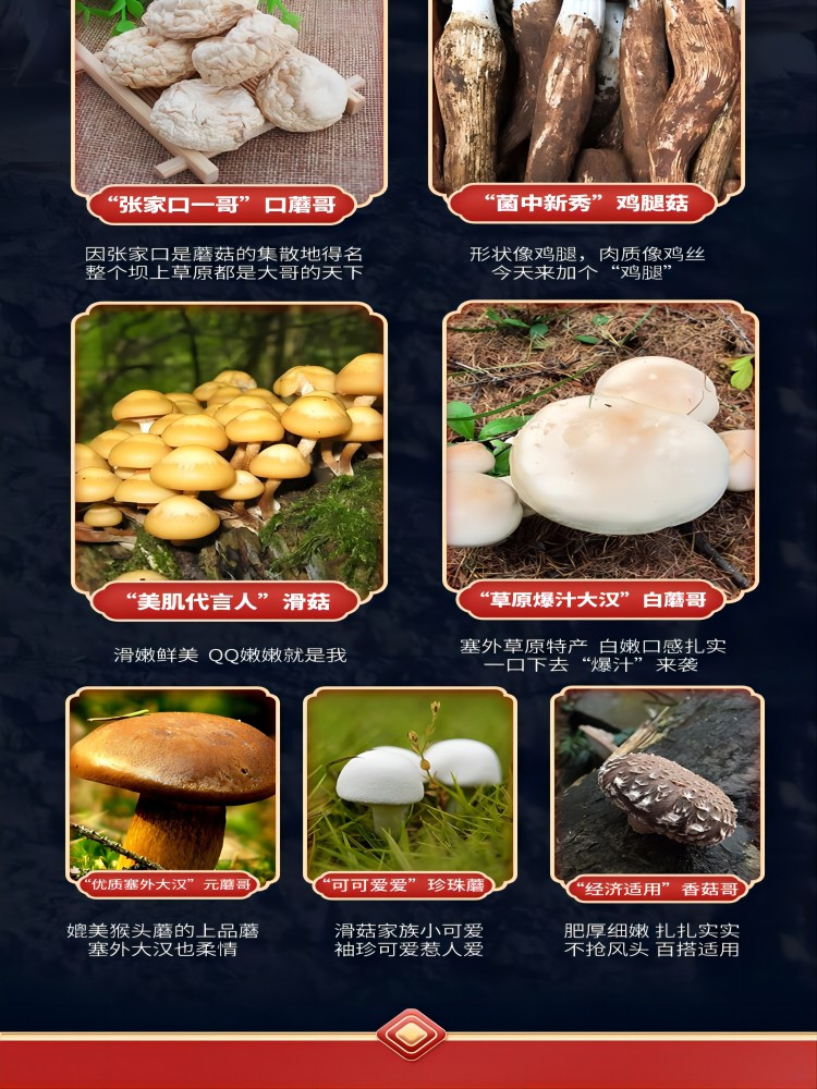 裕栢福 菇鹿菇鹿蘑菇酱礼盒