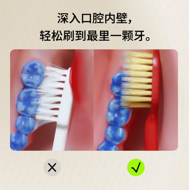 惠百施 48孔舒适倍护宽头牙刷 中毛 B-196 2支/4支