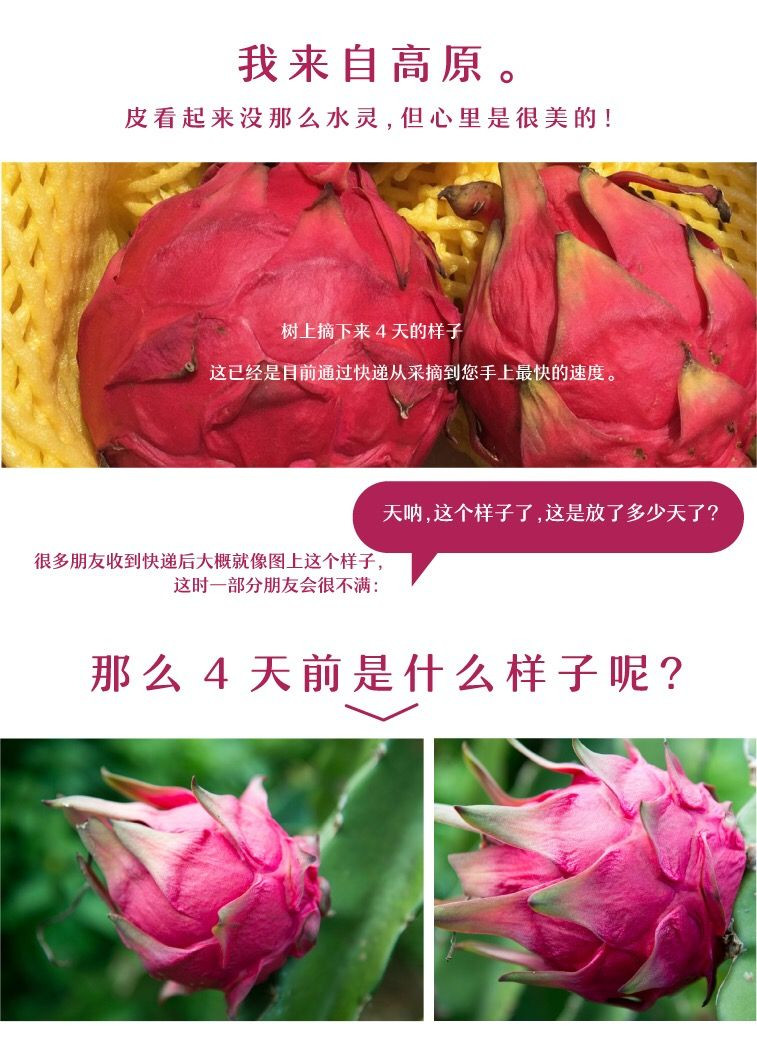 点芬芳 云南红心火龙果 现采新鲜应季水果整箱2斤起 包邮