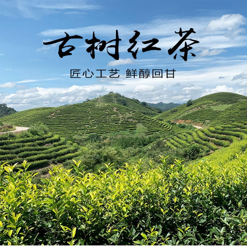 山哈兰家古树红茶250g/袋	