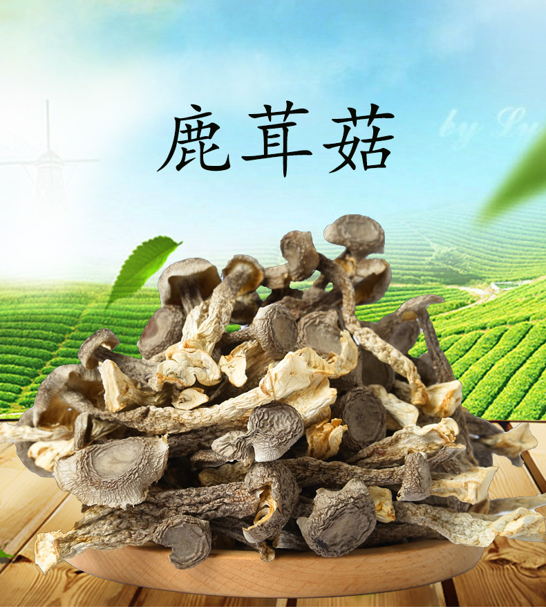 东江物语 安远县优质鹿茸菇300g/袋