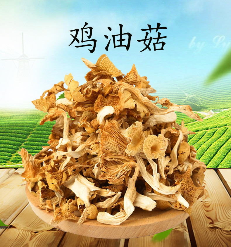 东江物语 安远县鸡油菇250g/袋 黄金菇 菌菇汤