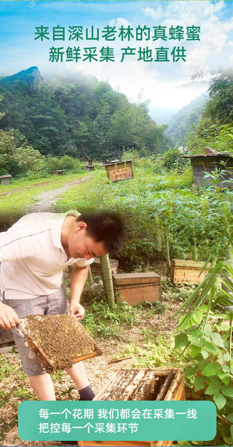 庐山蜂情 修水天然土蜂蜜百花蜜源深山蜂巢蜜农家百花蜂蜜450g