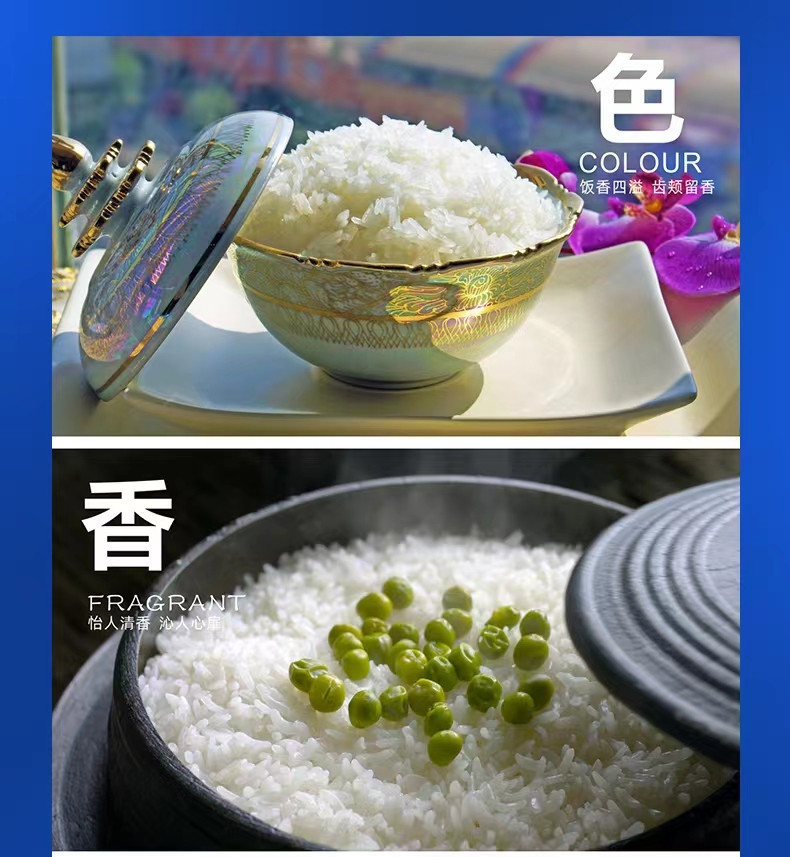 十农九收 优质丝苗米5KG/袋 长粒香米