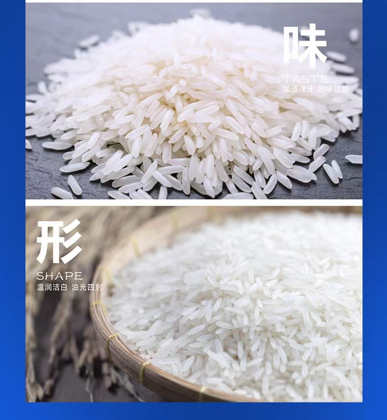十农九收 优质丝苗米5KG/袋 长粒香米