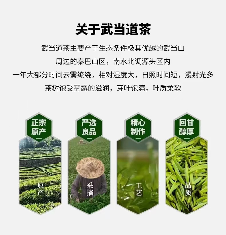 秦岭源 2023早春新茶 湖北十堰秦岭源 40G、80G、240G多款组合装 40G/罐装