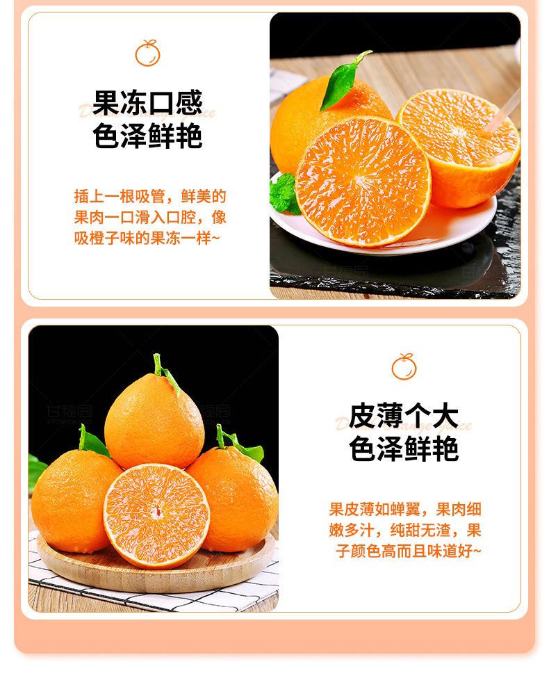 农家自产 四川爱媛38号果冻橙 大果8斤（75mm+)爆甜橙子