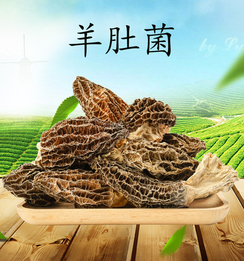 东江物语 羊肚菌100g/袋