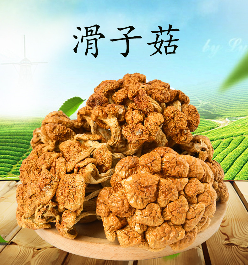 东江物语 滑子菇100g/袋