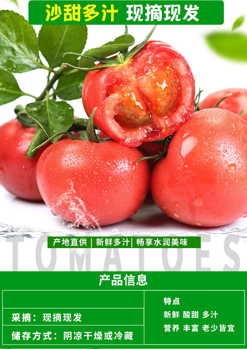 农家自产 【严选】新鲜西红柿 自然熟生吃水果西红柿农家蔬菜番茄