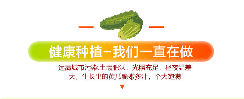 潮誉坊 白玉黄瓜