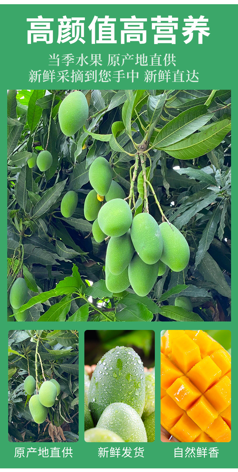 农家自产 椰香芒果