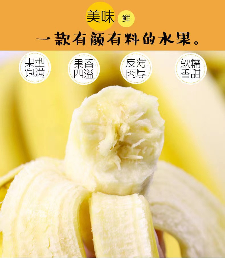 文枝 云南高山超甜香蕉9斤