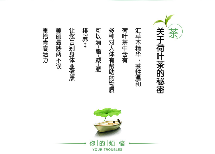  广莲珍 荷叶茶 古法焙制嫩何叶干 草本健康养生茶 广昌白莲之乡嫩荷叶茶