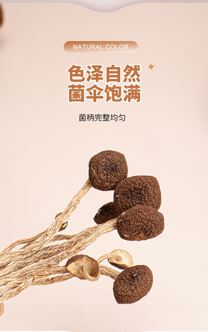  广莲珍 广昌茶树菇 未开伞5号茶薪菇 新鲜干货 食材清香菇类 250克