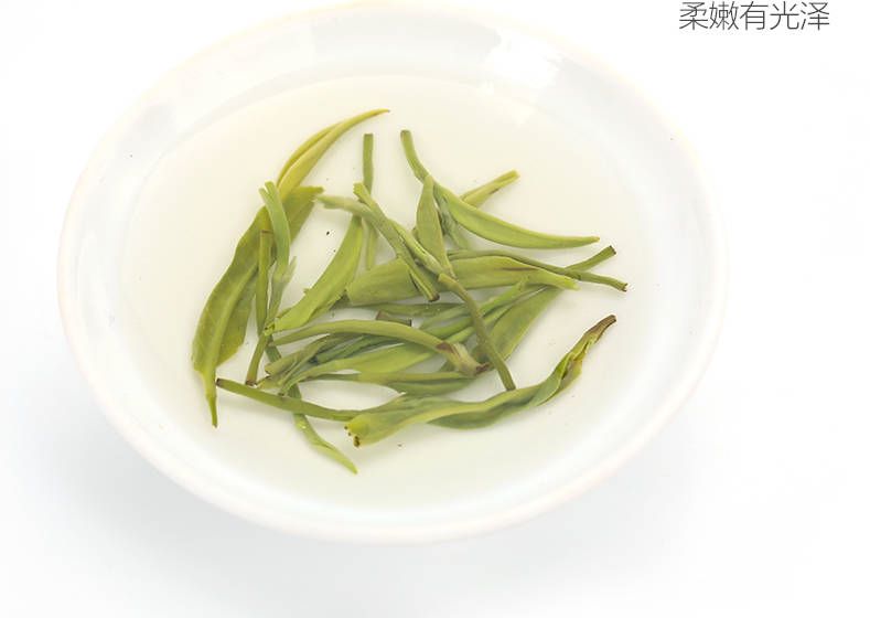 茉莉花茶叶买一送一新茶浓香型耐泡花草茶绿茶茉莉花罐装250g500g