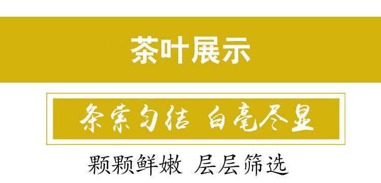 特级珍稀黄金芽茶叶2023年明前新茶春茶高山绿茶安吉白茶袋装盒装