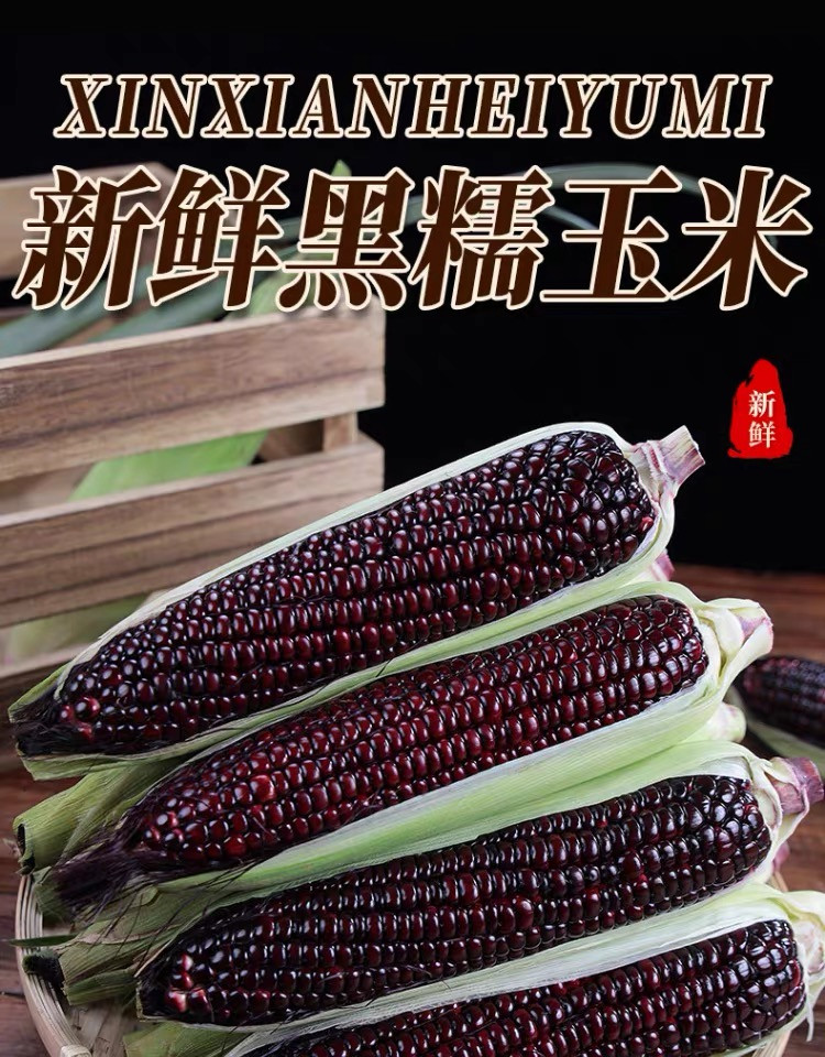 农家自产 【会员享实惠】隆昌黑糯玉米